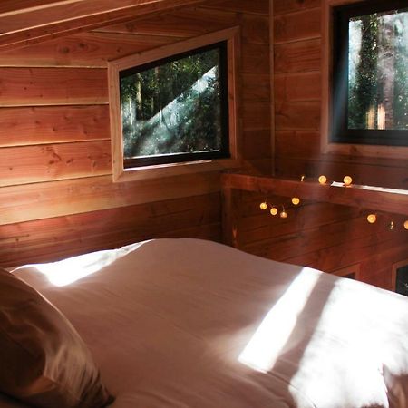 Cabanas Bosque Milenario Coñaripe Екстериор снимка