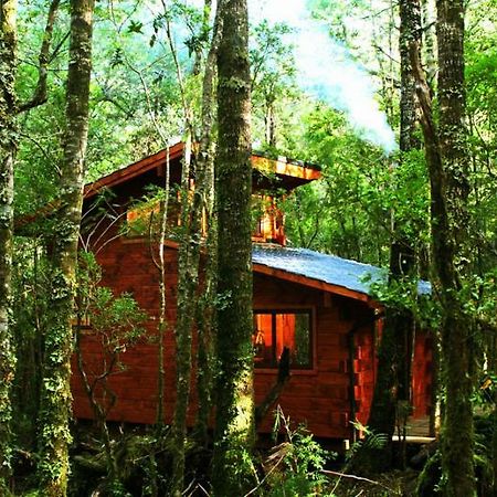 Cabanas Bosque Milenario Coñaripe Екстериор снимка