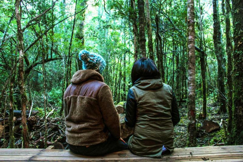 Cabanas Bosque Milenario Coñaripe Екстериор снимка