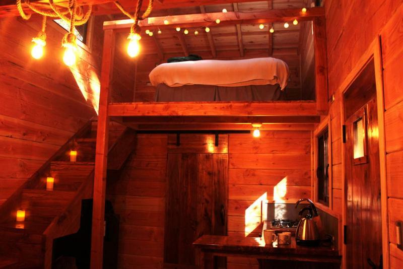 Cabanas Bosque Milenario Coñaripe Екстериор снимка