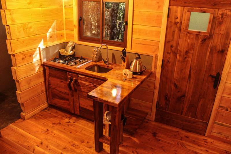 Cabanas Bosque Milenario Coñaripe Екстериор снимка