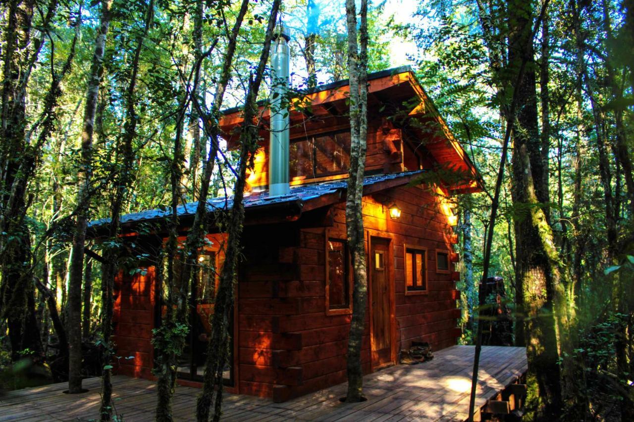 Cabanas Bosque Milenario Coñaripe Екстериор снимка