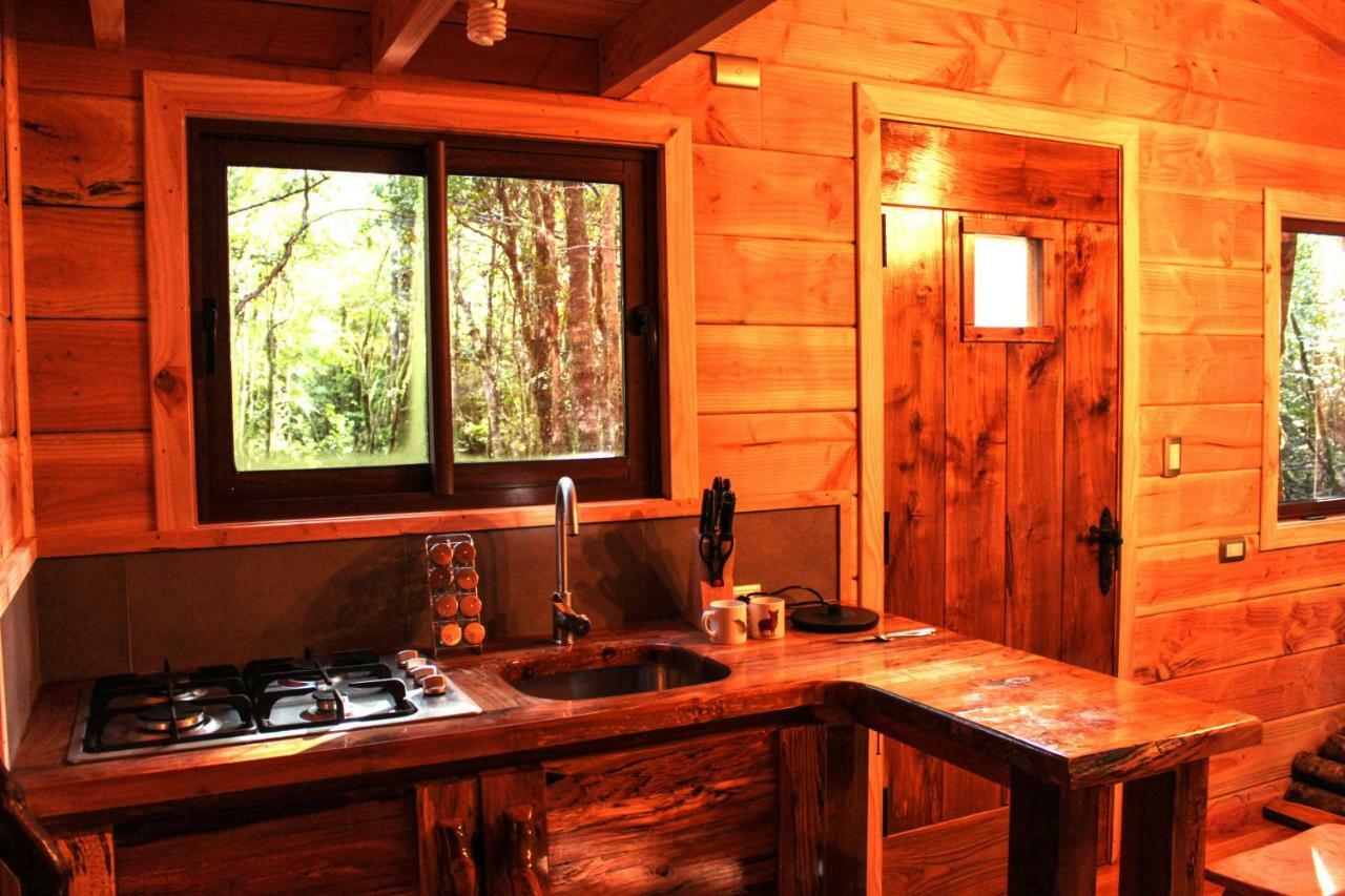 Cabanas Bosque Milenario Coñaripe Екстериор снимка