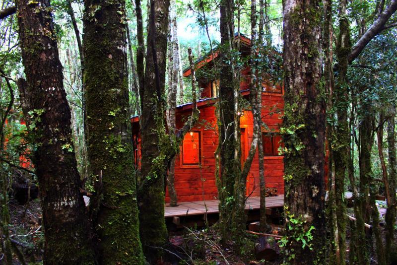 Cabanas Bosque Milenario Coñaripe Екстериор снимка