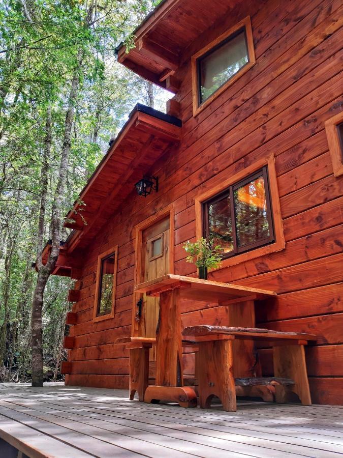 Cabanas Bosque Milenario Coñaripe Екстериор снимка